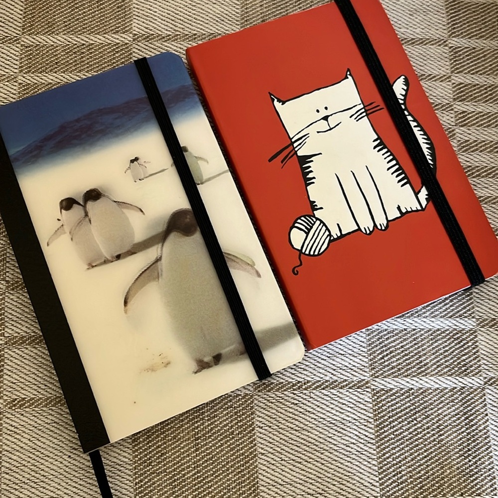 2 Mini Journal Pocket Notebooks